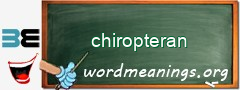 WordMeaning blackboard for chiropteran